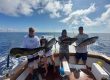 papagayo fishing charters